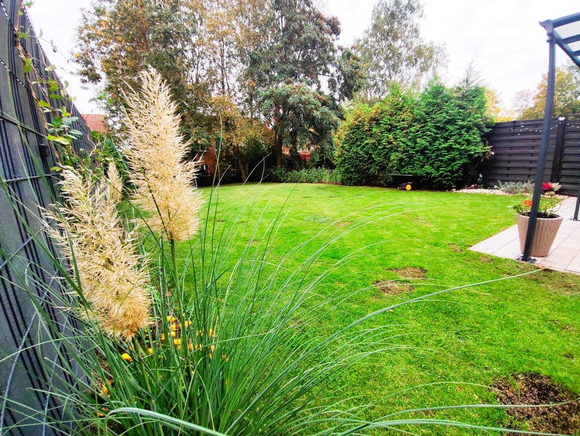 Ferienhaus Heide Bad Fallingbostel Ngoại thất bức ảnh